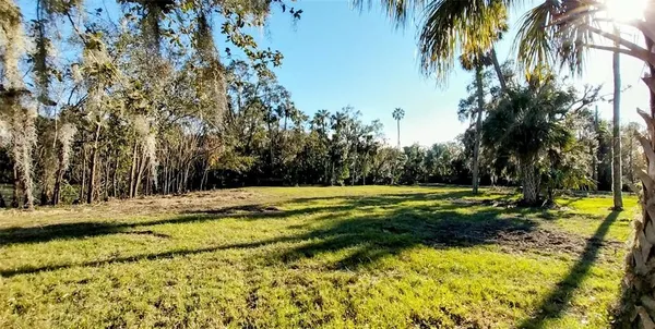 a view of road and trees