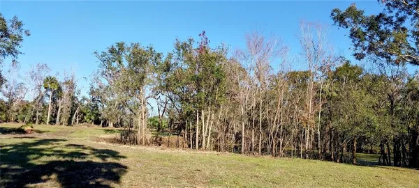 a view of a yard with palm trees