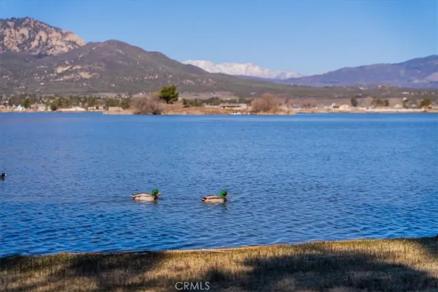 a view of wooden door