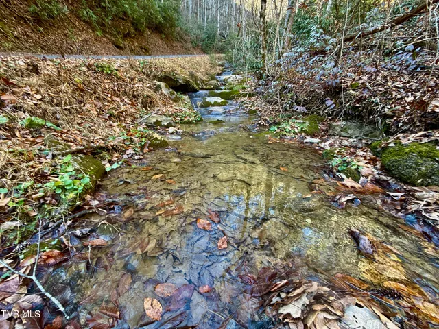 $59,000 | 4.31-ac Big Creek Road, Hartford, TN 37753