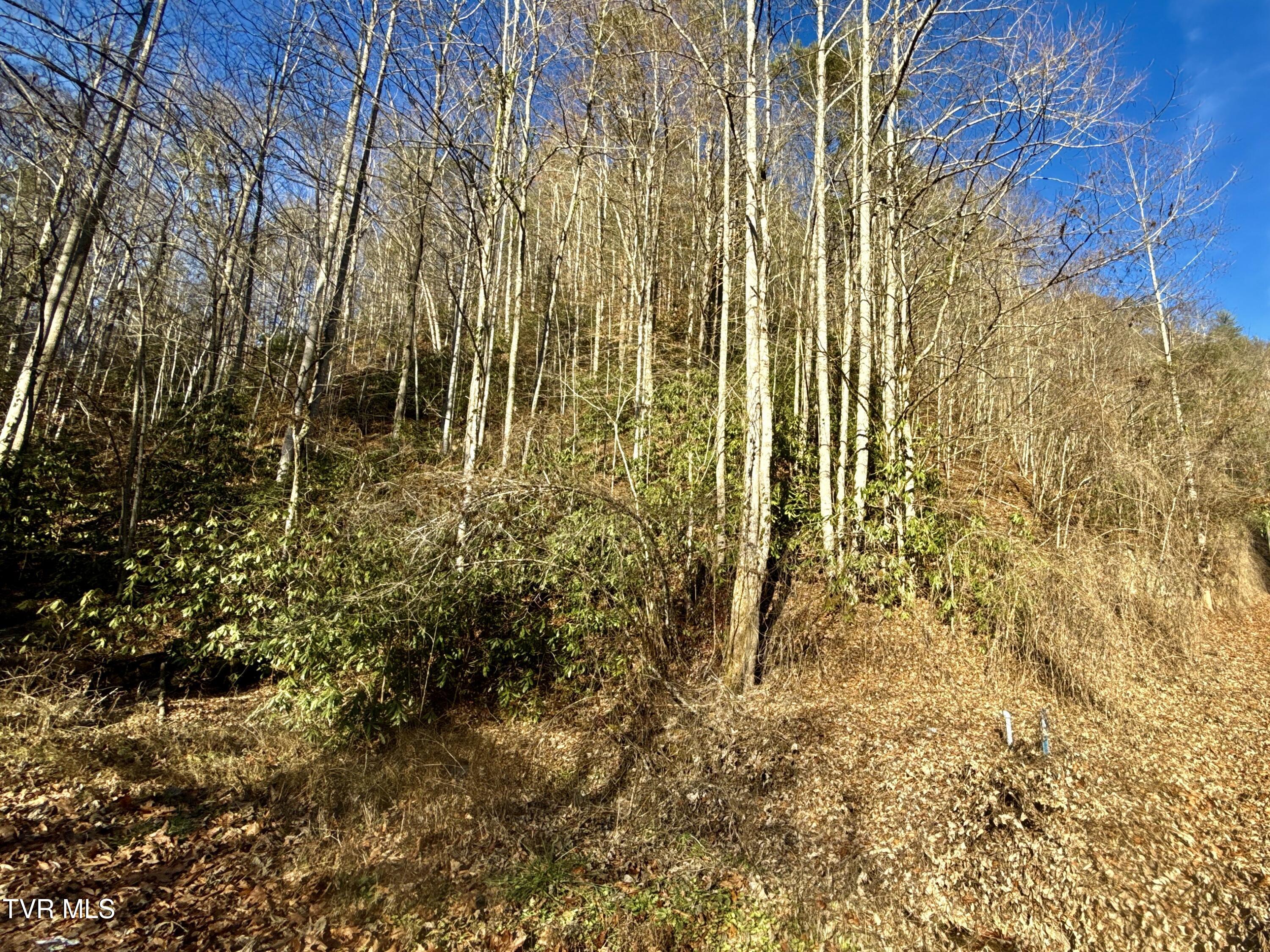 4.31-ac Big Creek Road Hartford, TN 37753 - Photo 5 of 14 _Pic5 (32)