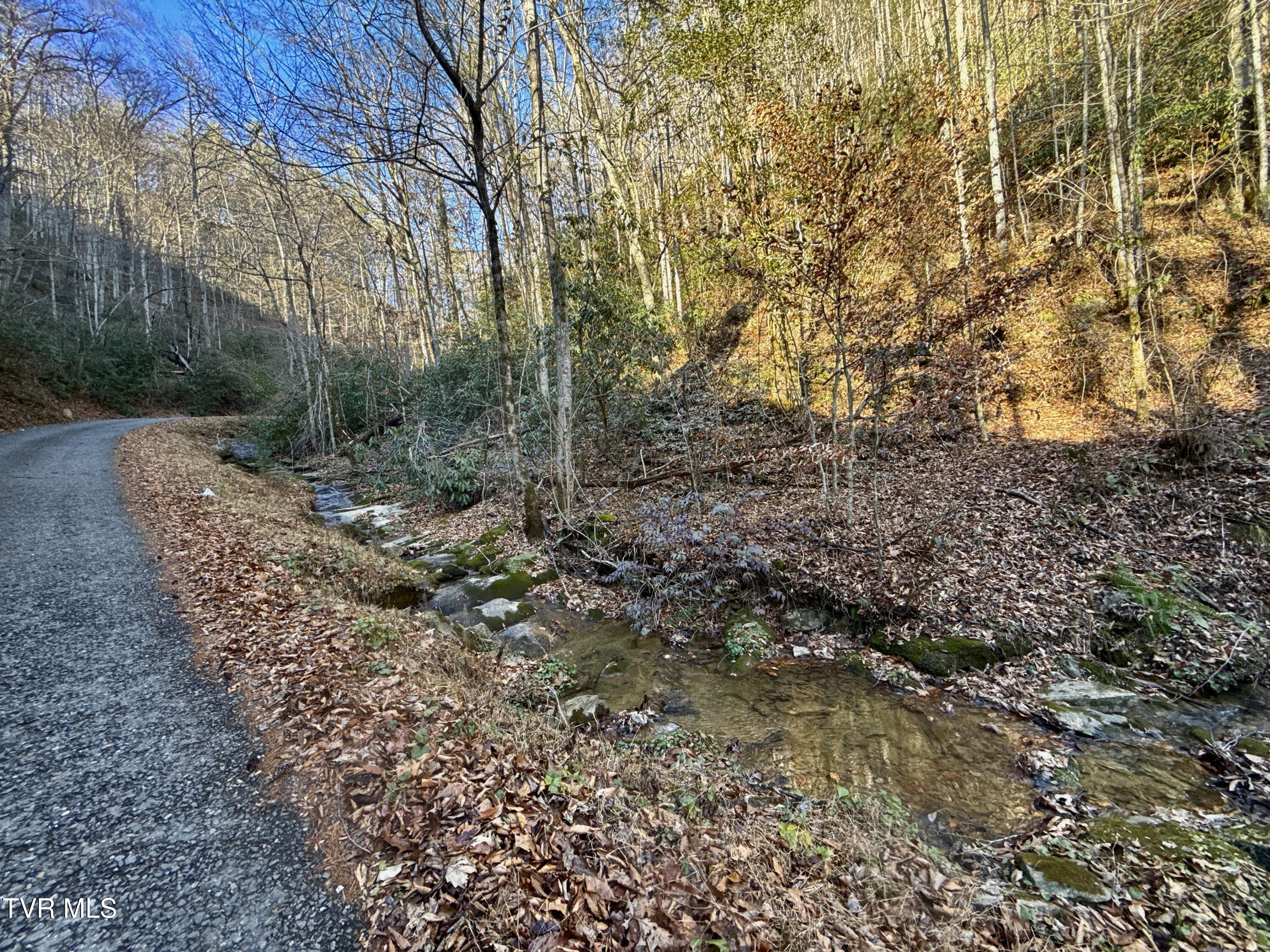 4.31-ac Big Creek Road Hartford, TN 37753 - Photo 6 of 14 _Pic6 (31)