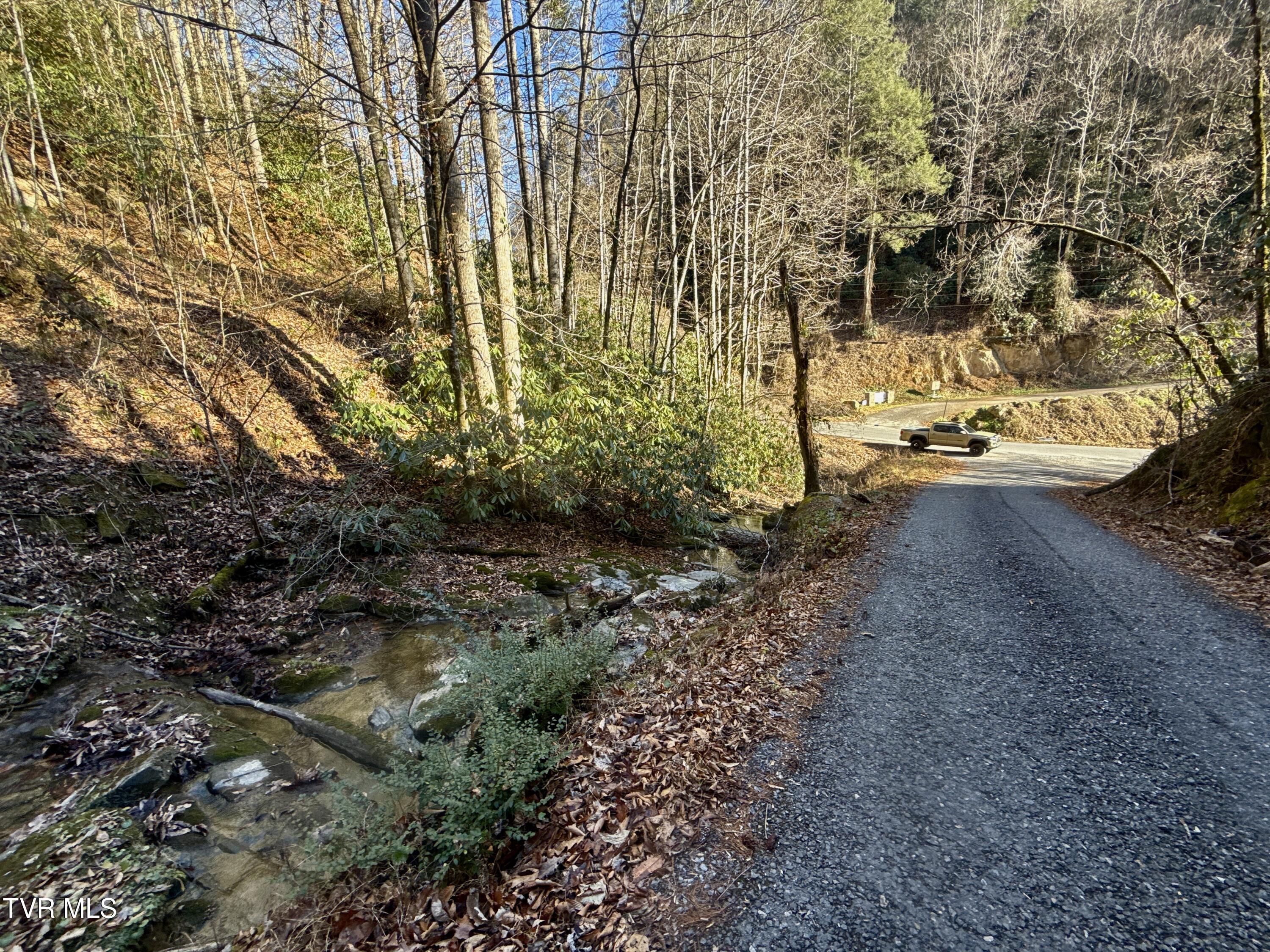 4.31-ac Big Creek Road Hartford, TN 37753 - Photo 7 of 14 _Pic7 (30)