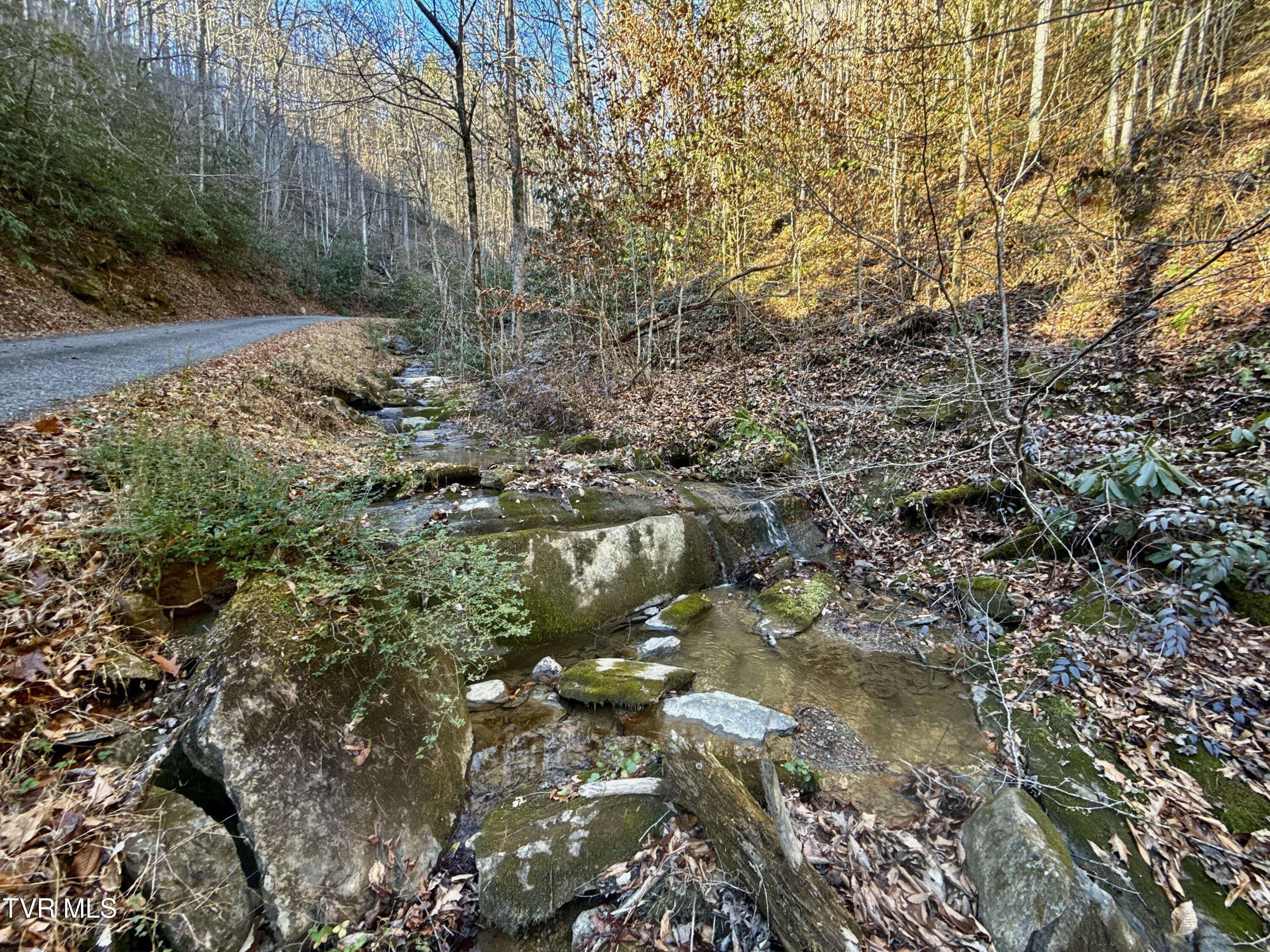 4.31-ac Big Creek Road Hartford, TN 37753 - Photo 8 of 14 _Pic8 (28)