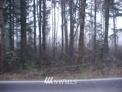 15556 Vail Cut Off Road Southeast Rainier, WA 98576 - Photo 1 of 1 Gallery Image 1
