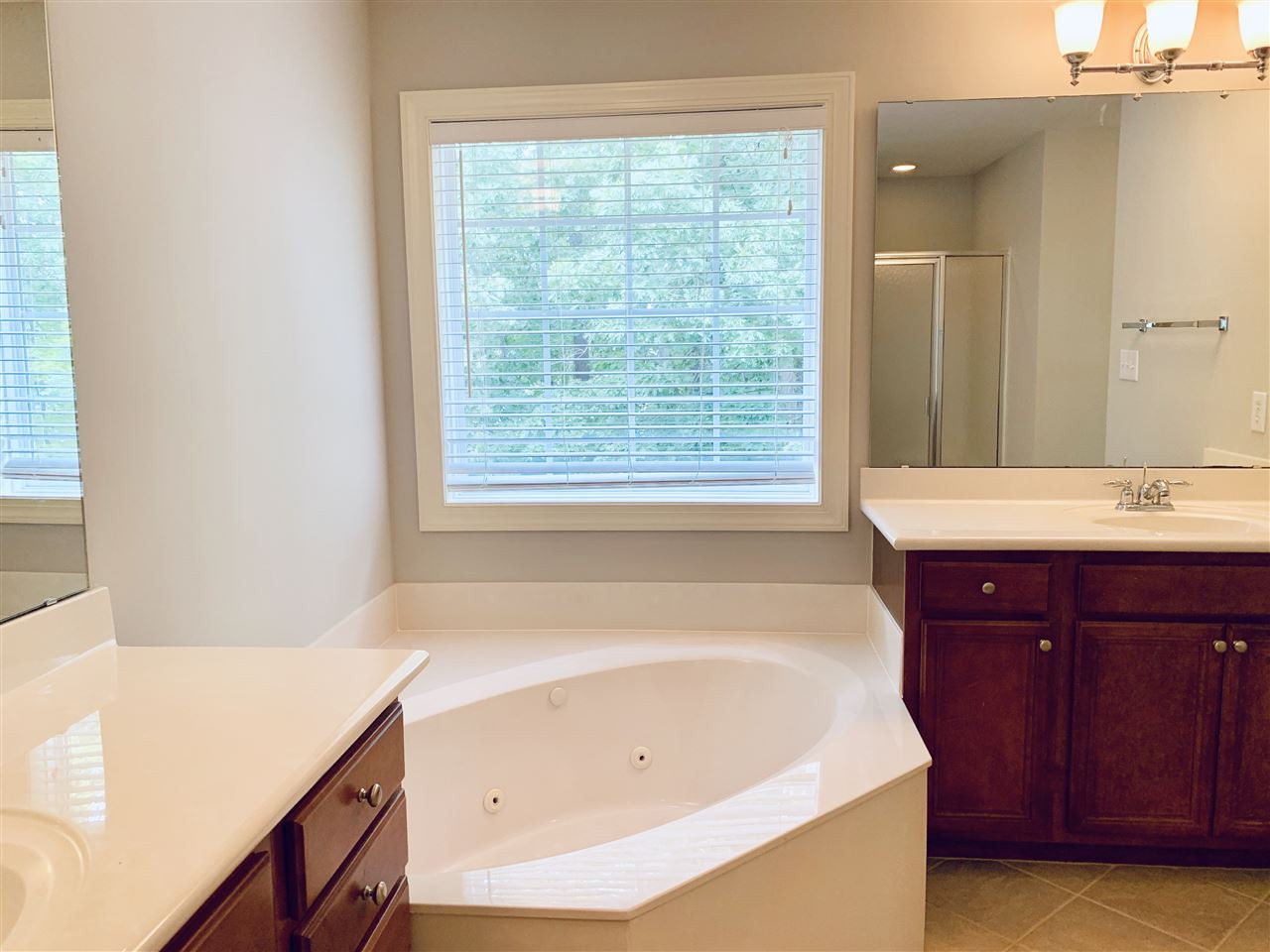 8917 Riverview Park Drive Raleigh, NC 27613 - Photo 18 of 29 Master Bath/Spa