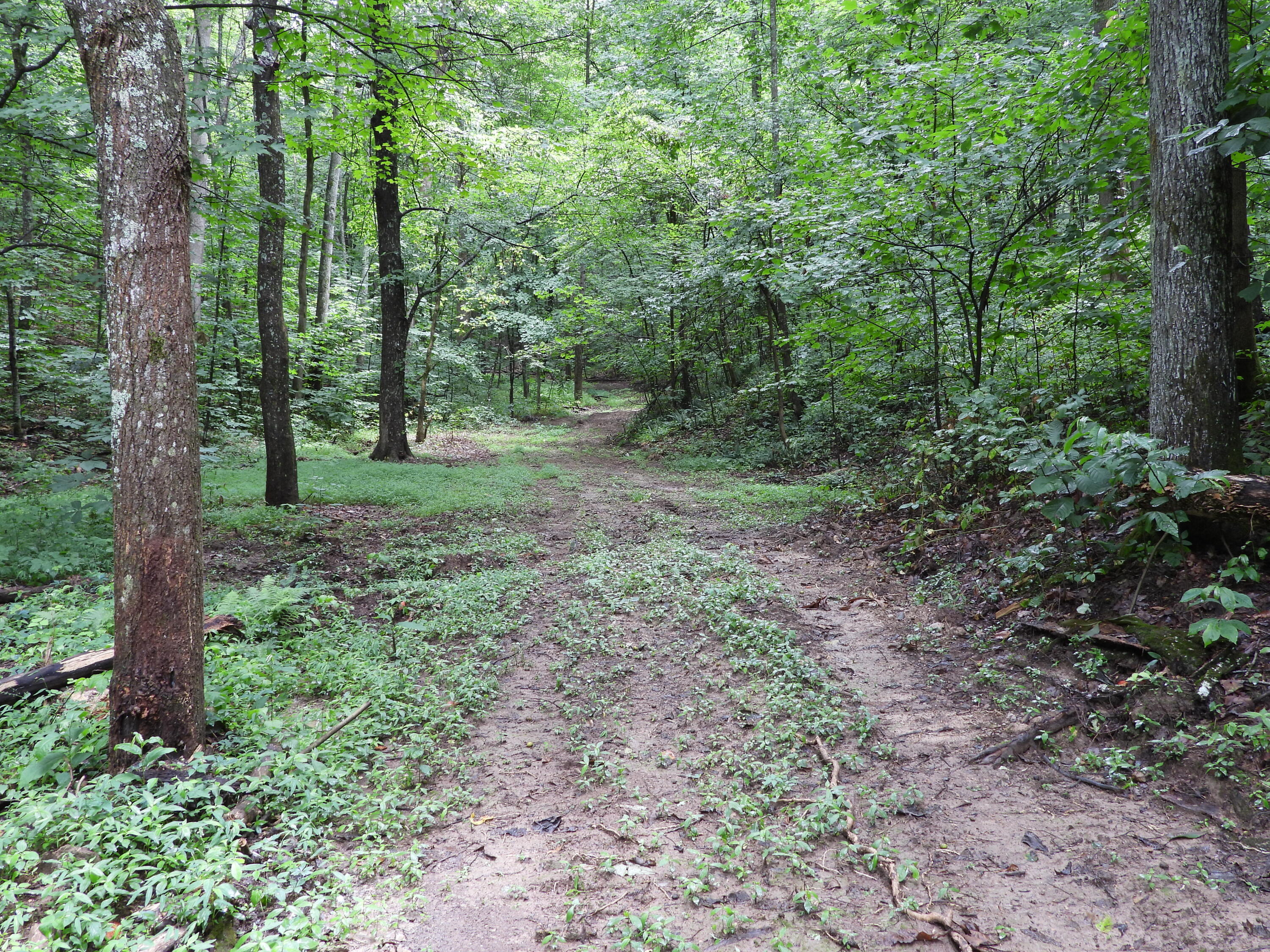 7600 Spencer Road Mount Sterling, KY 40353 - Photo 15 of 21 DSCN3580