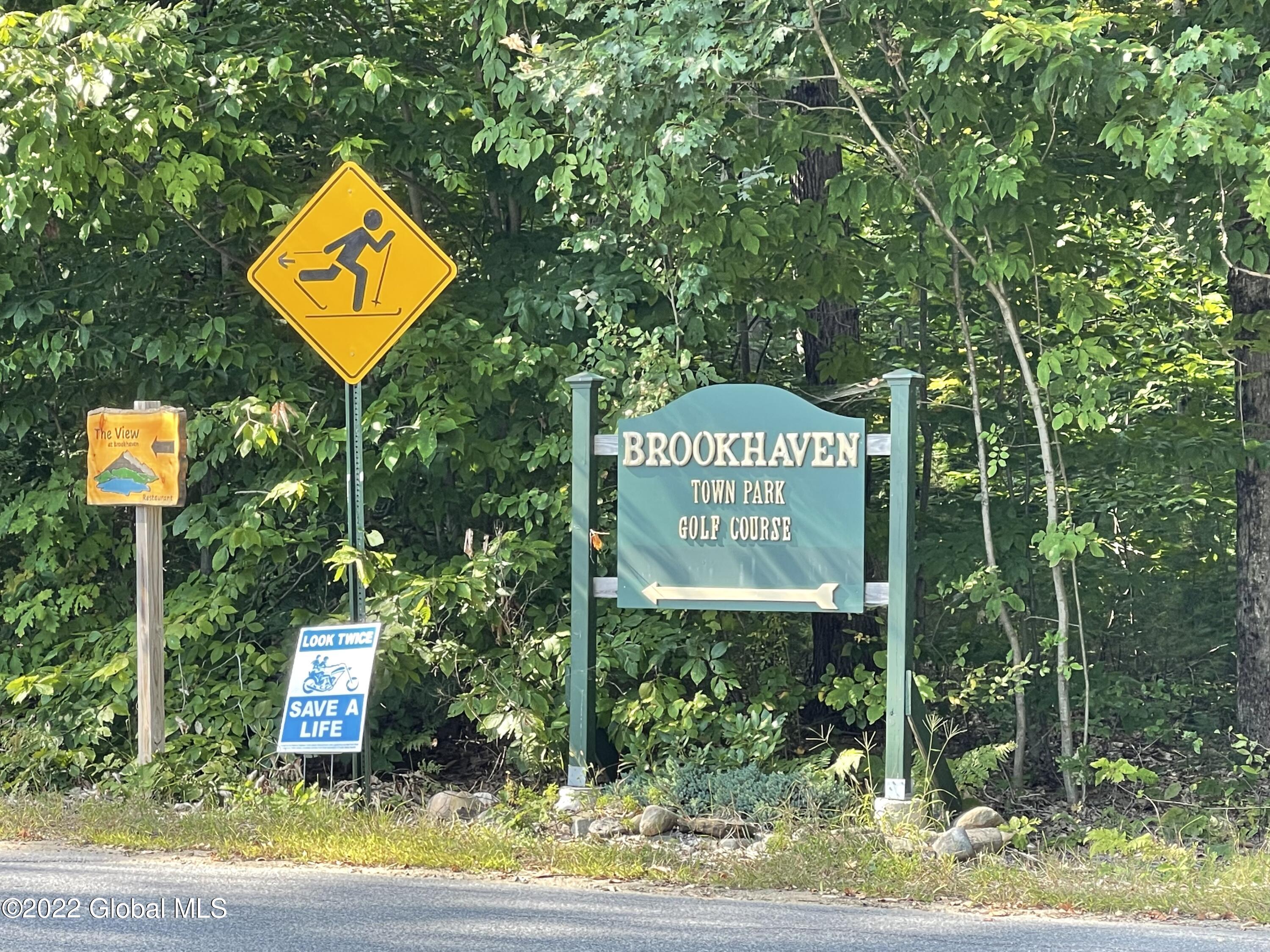 170 Alpine Meadows Road Greenfield, NY 12859 - Photo 2 of 4 IMG-8964