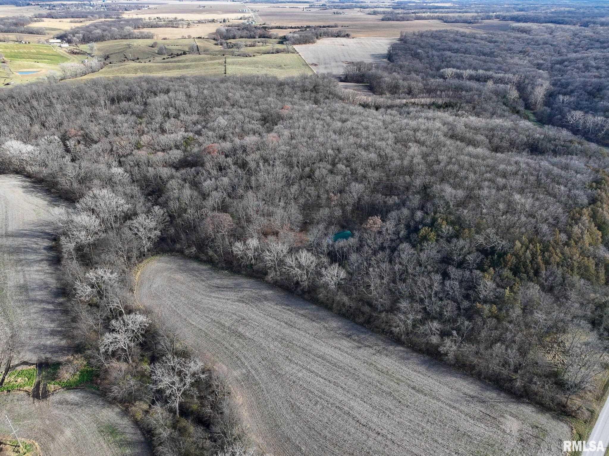 910 Highway 17 Joy, IL 61260 - Photo 1 of 26