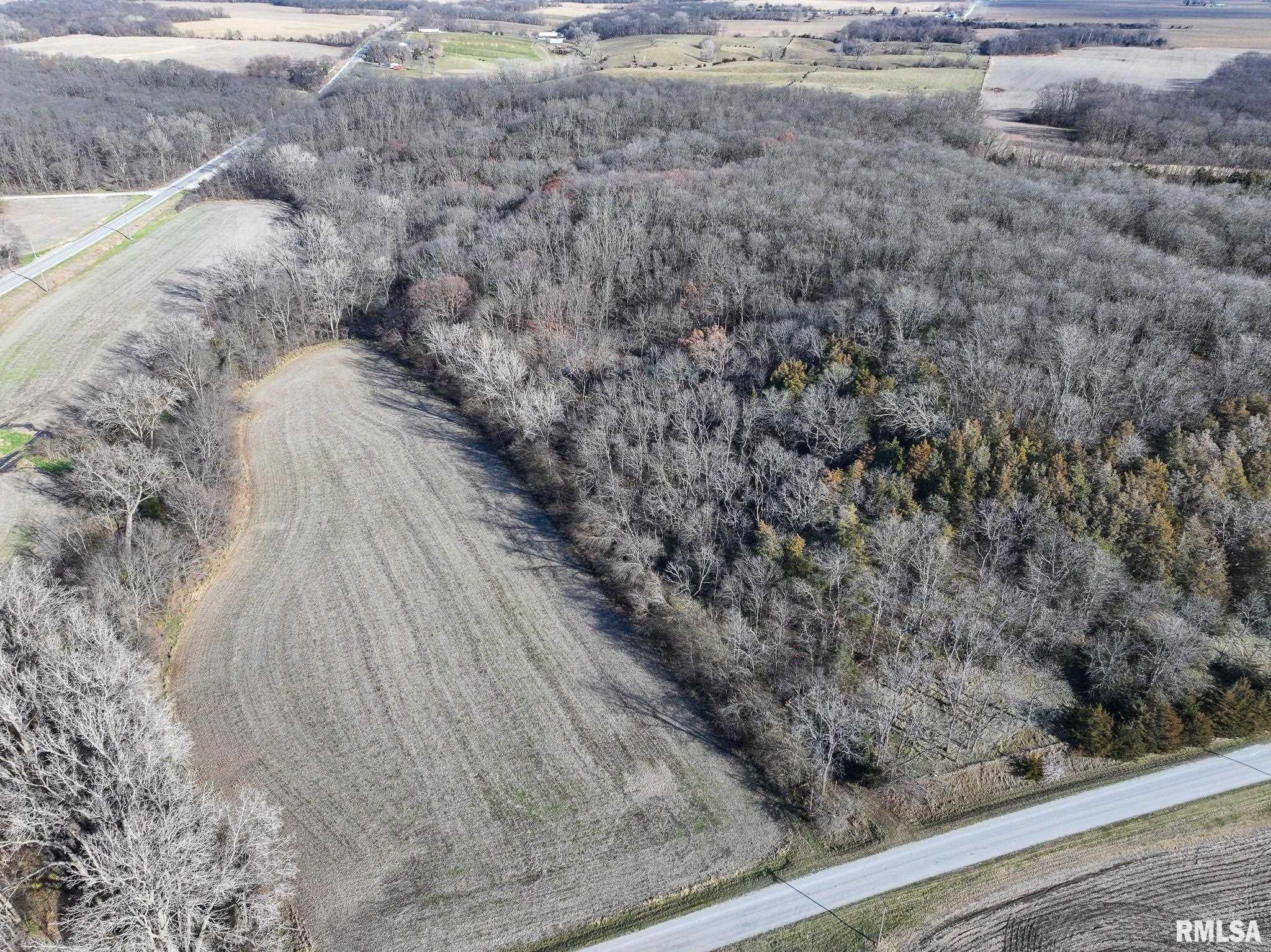 910 Highway 17 Joy, IL 61260 - Photo 13 of 26