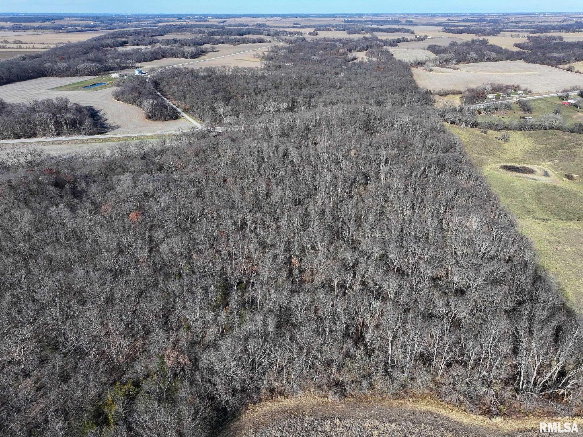910 Highway 17 Joy, IL 61260 - Photo 19 of 26