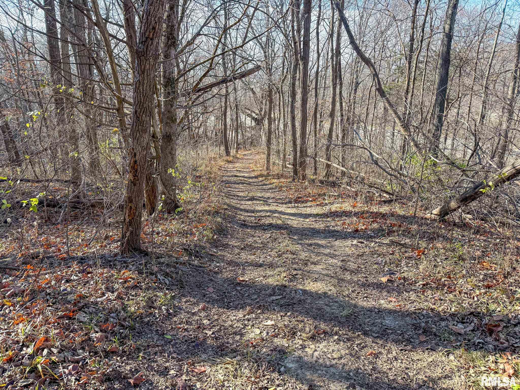 910 Highway 17 Joy, IL 61260 - Photo 26 of 26