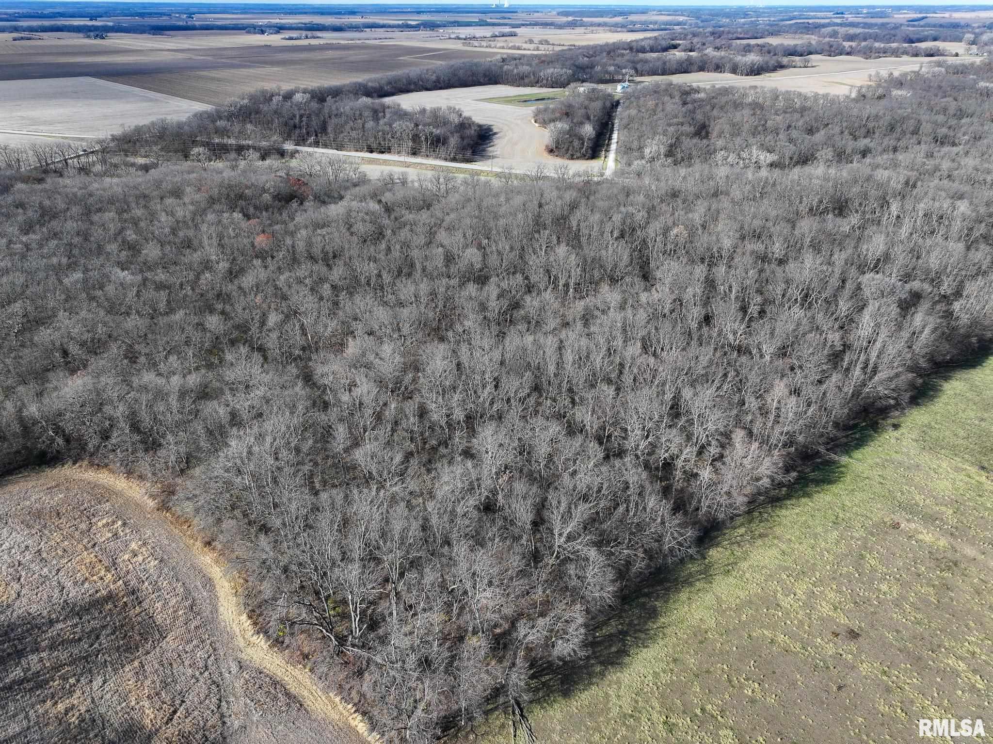 910 Highway 17 Joy, IL 61260 - Photo 4 of 26