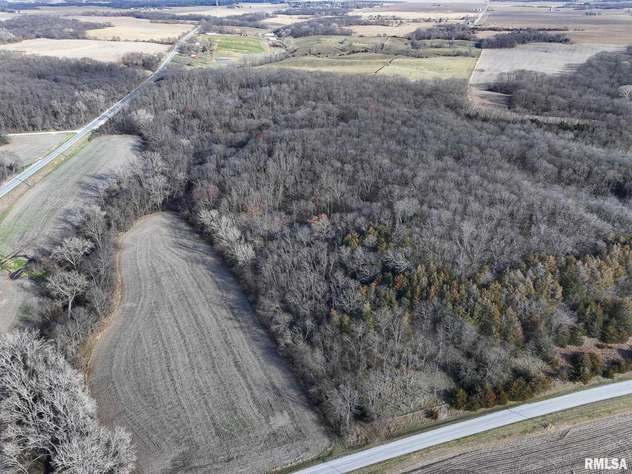 910 Highway 17 Joy, IL 61260 - Photo 8 of 26