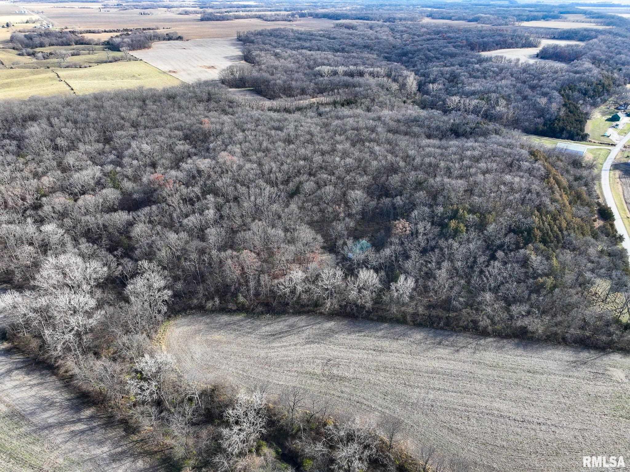 910 Highway 17 Joy, IL 61260 - Photo 9 of 26