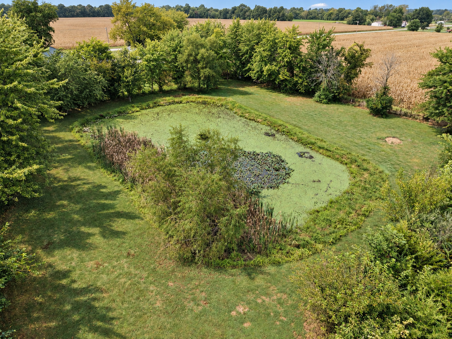 2076 North State Road Flora, IL 62839 - Photo 76 of 100 Gallery Image 76