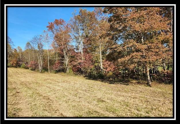 0 Maysville-Williams Road, Unit TRACT 1) Logan, OH 43138 - Photo 12 of 47 image012