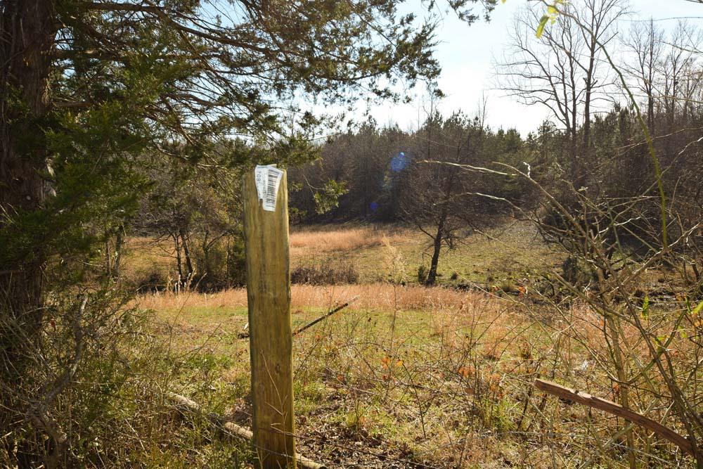32-acres No Pone Valley Road Northwest Georgetown, TN 37336 - Photo 7 of 22 32Acres_NPoneV_21