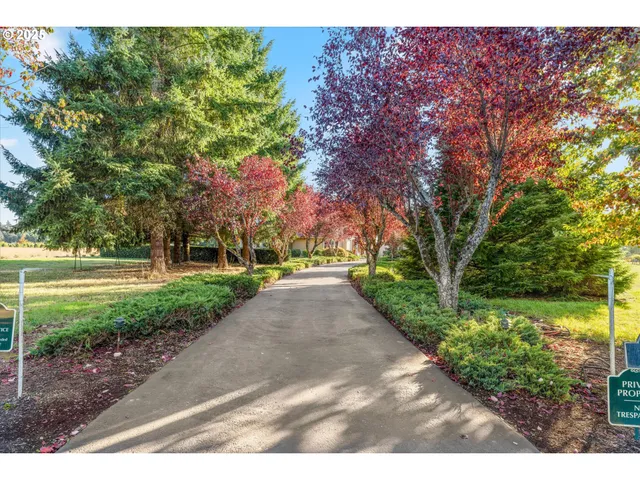 a view of backyard with green space