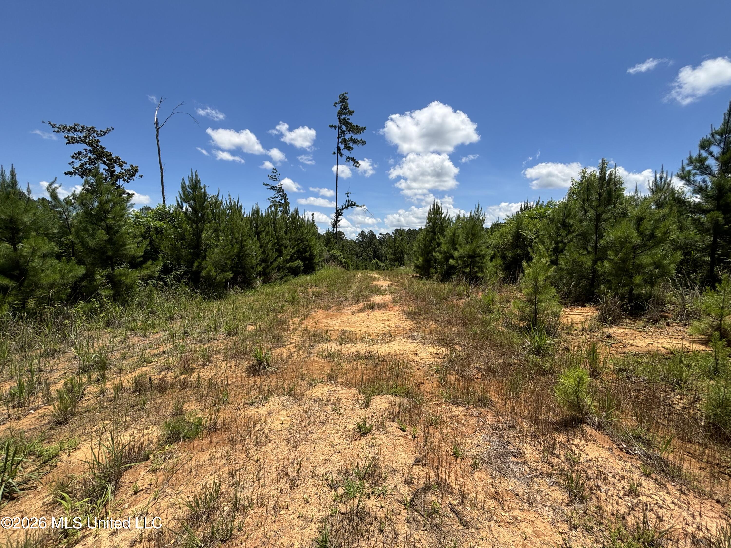 Stump Road Crosby, MS 39633 - Photo 10 of 60 IMG_4346