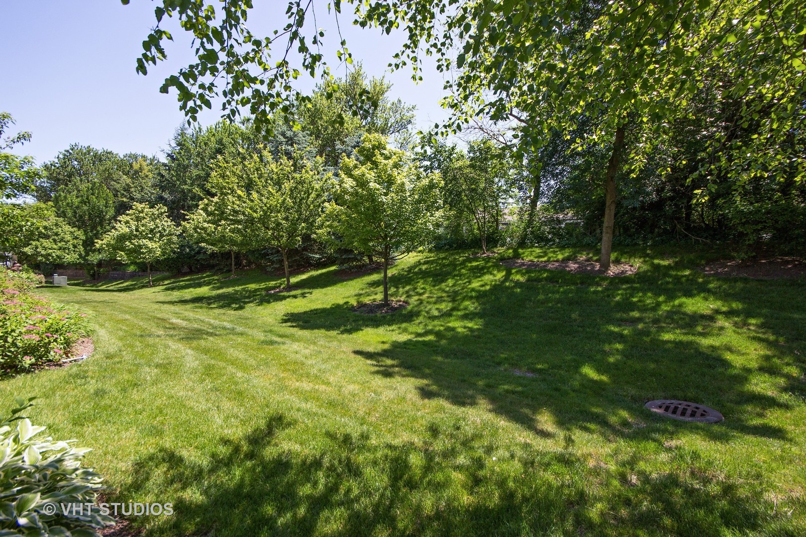 2460 Oneida Lane, Unit 2460 Naperville, IL 60563 - Photo 6 of 16 a backyard of a house with lots of green space