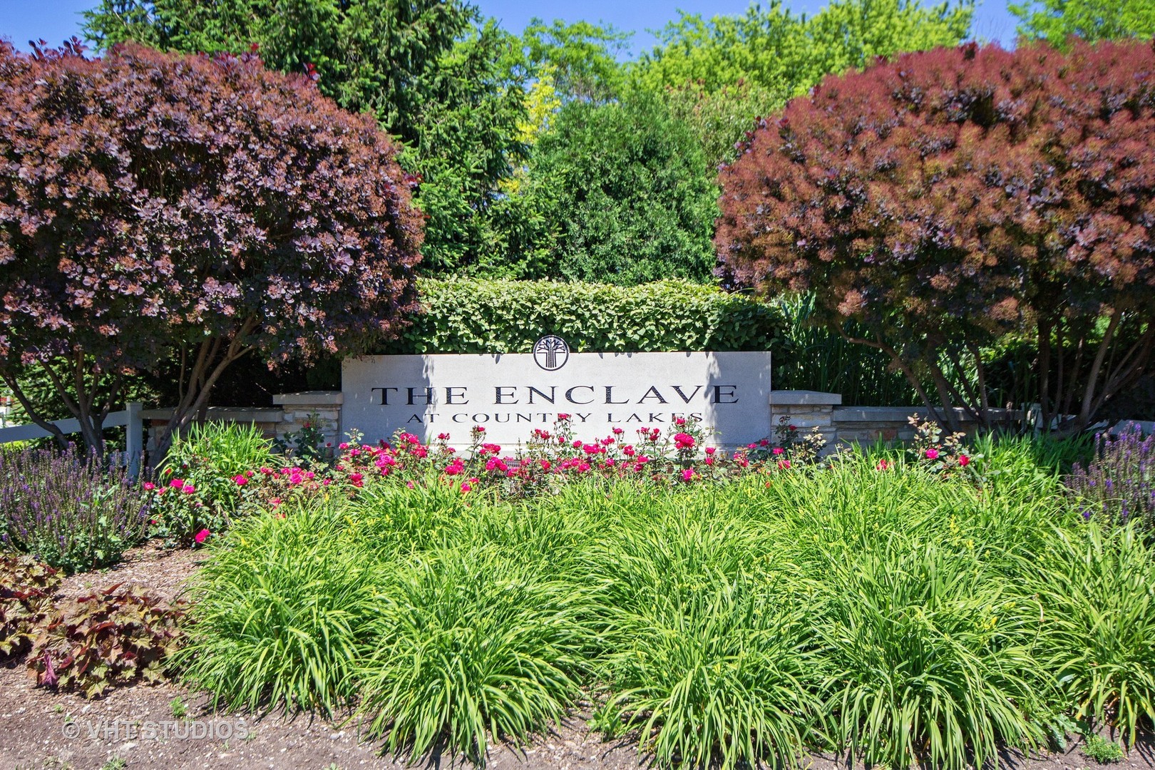 2460 Oneida Lane, Unit 2460 Naperville, IL 60563 - Photo 7 of 16 a picture of flowers