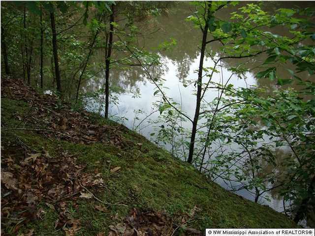 879 Wyatte Road, Unit WYATTETYRO Como, MS 38619 - Photo 1 of 7 Primary Photo
