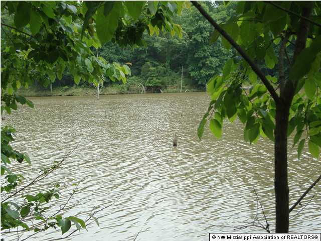879 Wyatte Road, Unit WYATTETYRO Como, MS 38619 - Photo 2 of 7 Additional Photo