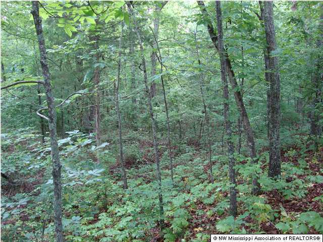 879 Wyatte Road, Unit WYATTETYRO Como, MS 38619 - Photo 3 of 7 Additional Photo