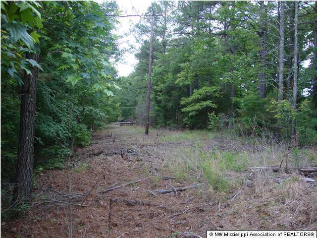 879 Wyatte Road, Unit WYATTETYRO Como, MS 38619 - Photo 4 of 7 Additional Photo
