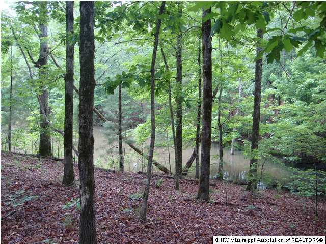 879 Wyatte Road, Unit WYATTETYRO Como, MS 38619 - Photo 5 of 7 Additional Photo