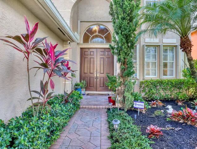 a living room with wooden floor and a potted plant