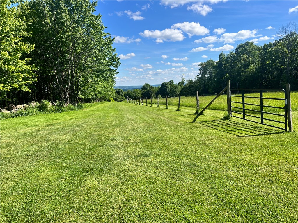 882 Alma Hill Road Alma, NY 14708 - Photo 28 of 46