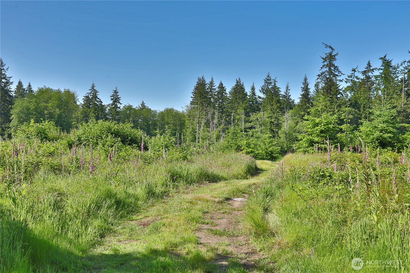 2062 East Goodell Road Freeland, WA 98249 - Photo 24 of 37