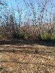 Lot 6 Bray Ridge Road Hiram, ME 04041 - Photo 7 of 8 image000007