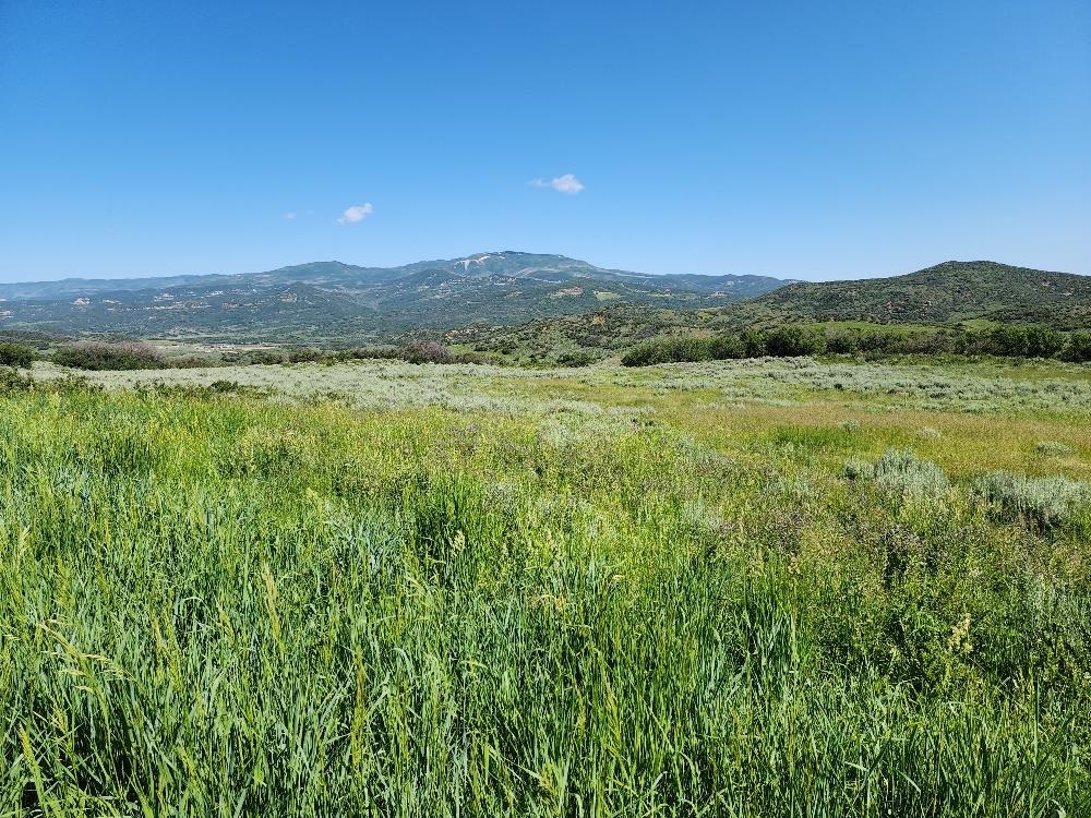 Lot 18 Harrison Creek Road Collbran, CO 81624 - Photo 1 of 30 a view of an outdoor space with a lake view