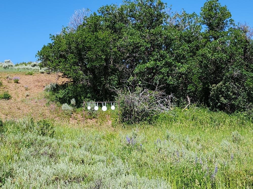 Lot 18 Harrison Creek Road Collbran, CO 81624 - Photo 13 of 30 a view of a lush green space