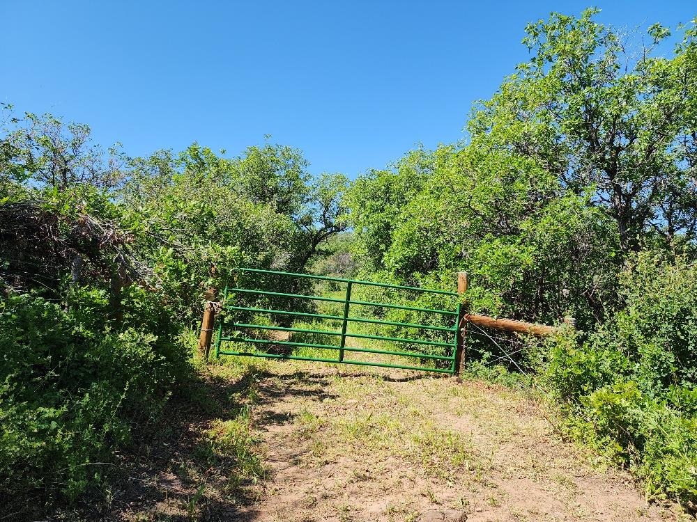Lot 18 Harrison Creek Road Collbran, CO 81624 - Photo 14 of 30 a view of a bench in a backyard