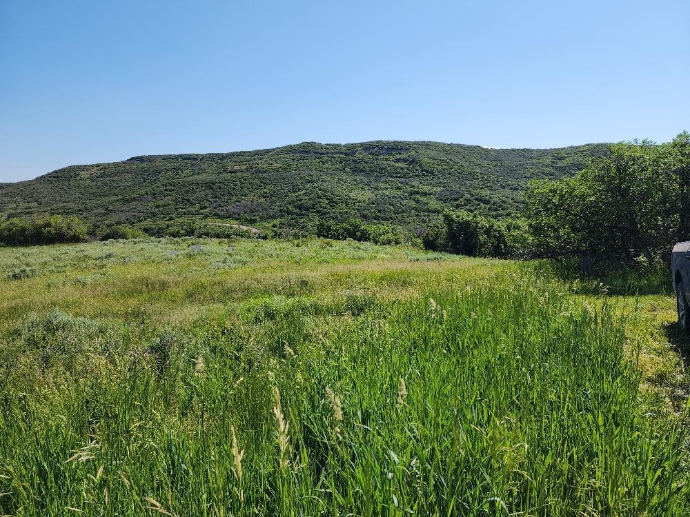 Lot 18 Harrison Creek Road Collbran, CO 81624 - Photo 2 of 30 a view of a lush green outdoor space with a lake view