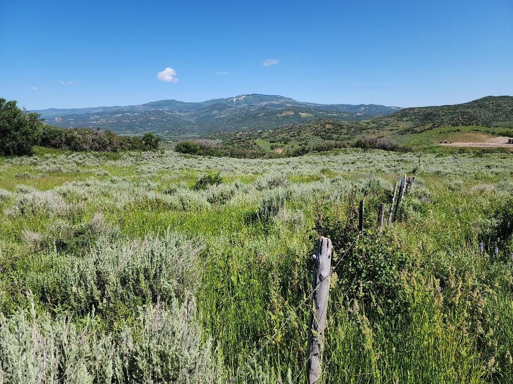 Lot 18 Harrison Creek Road Collbran, CO 81624 - Photo 8 of 30 a view of mountains and valleys