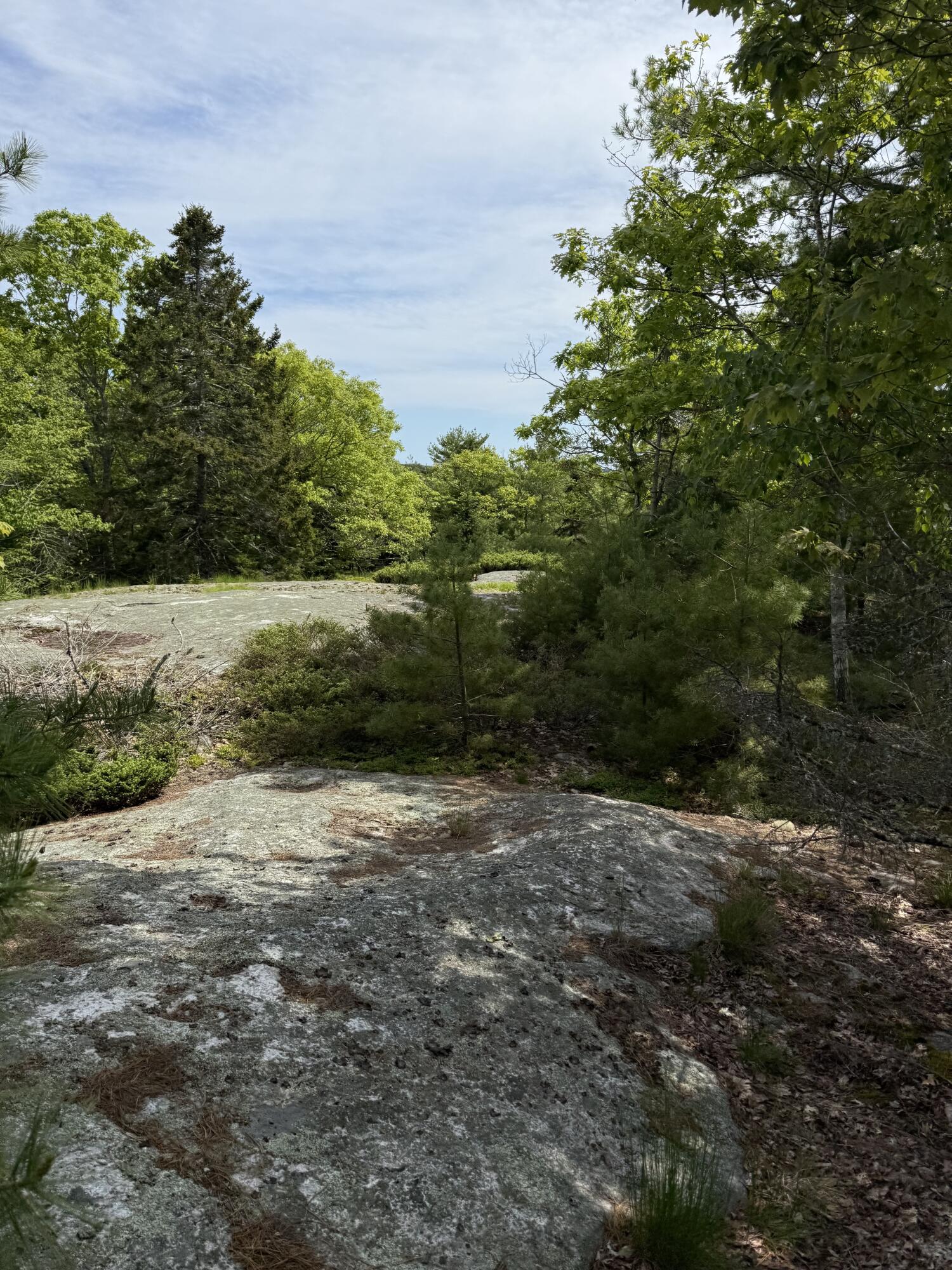 63 Sebasco Road Phippsburg, ME 04562 - Photo 11 of 14 IMG_2525 3