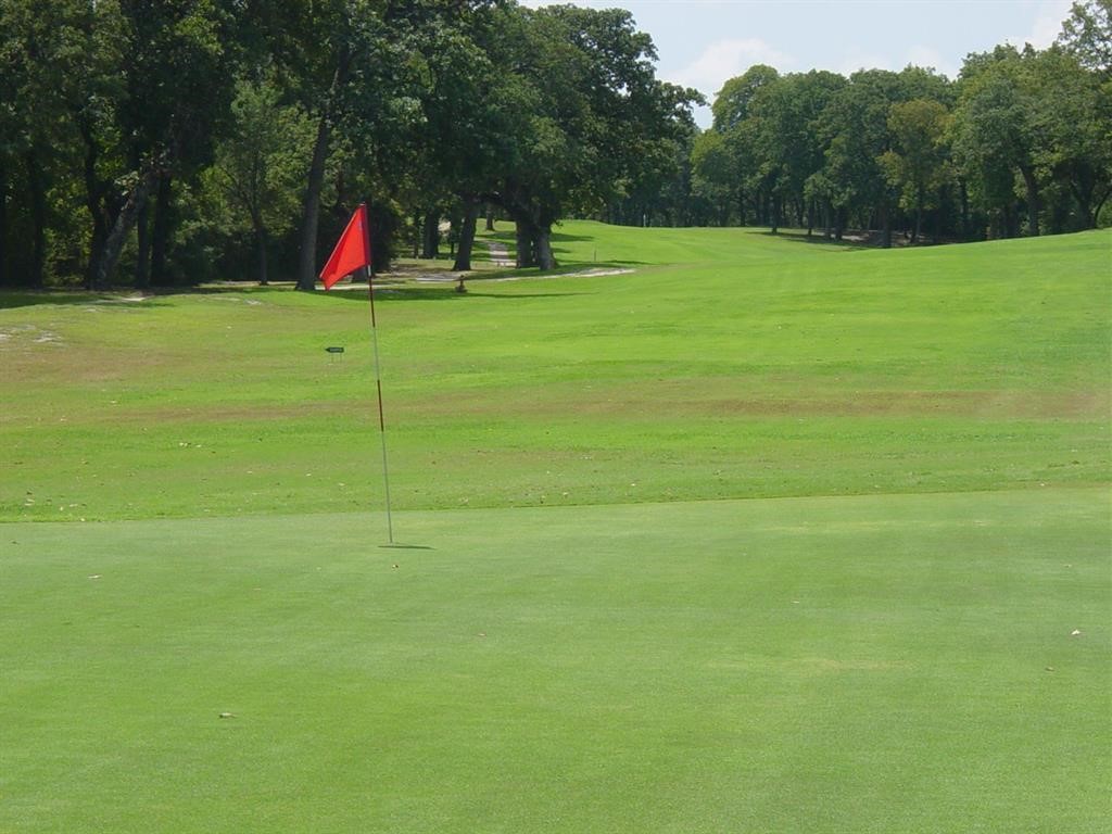 0 Navion Lane Normangee, TX 77871 - Photo 5 of 10 a view of a ground with large trees