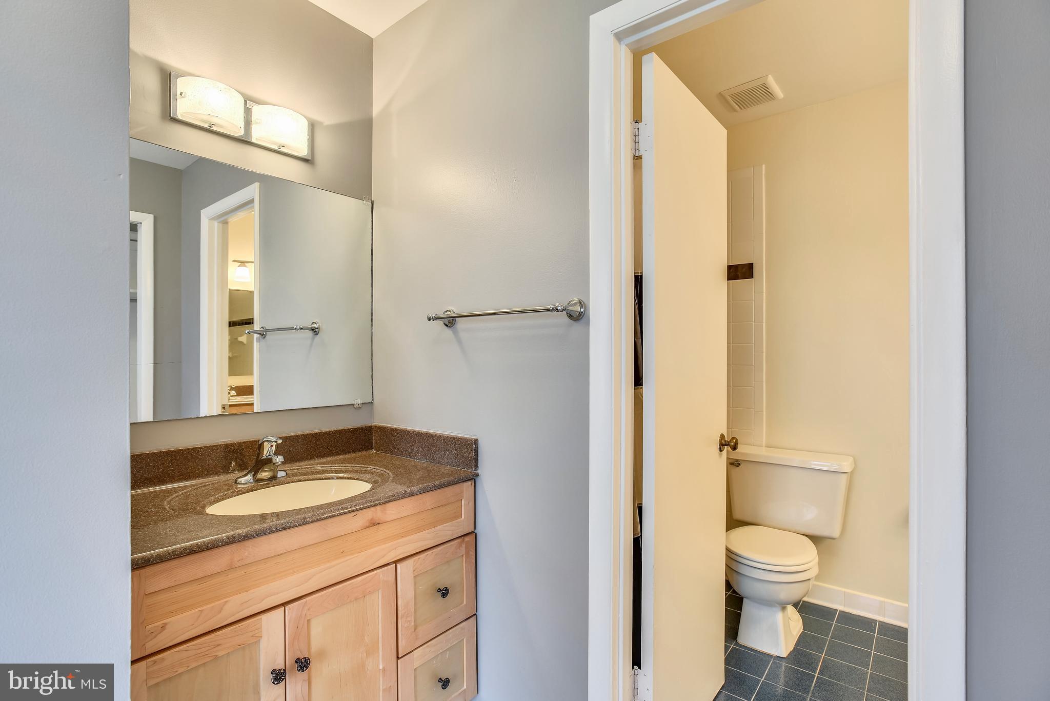 2051 Swans Neck Way Reston, VA 20191 - Photo 16 of 35 Master Bathroom