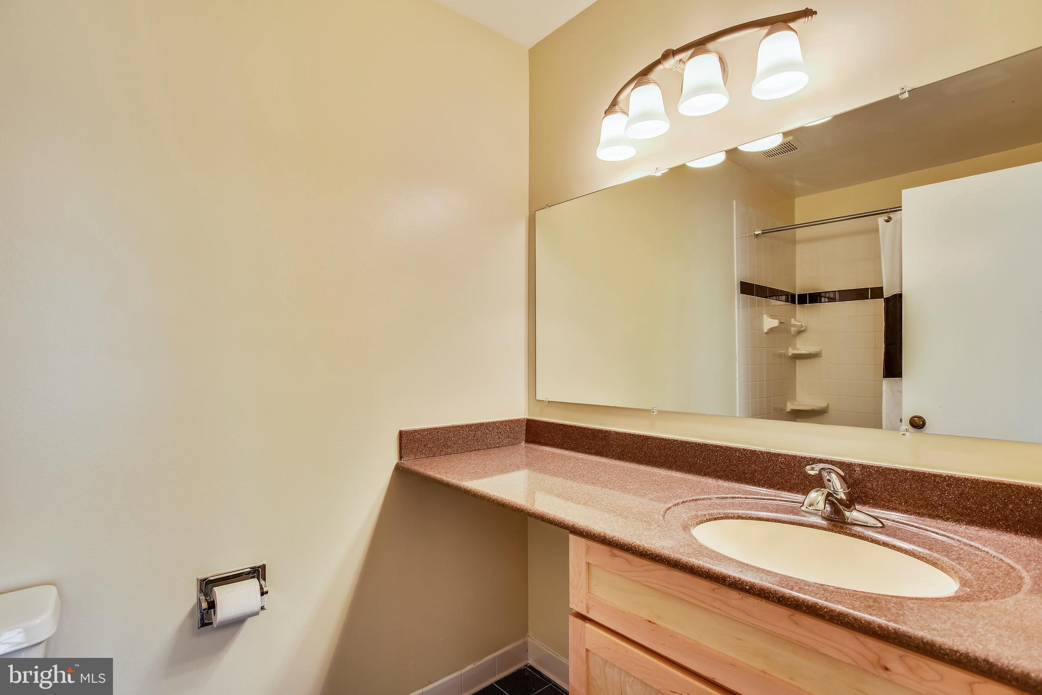 2051 Swans Neck Way Reston, VA 20191 - Photo 17 of 35 Master Bathroom