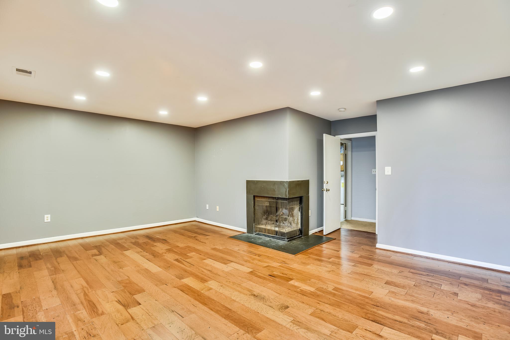 2051 Swans Neck Way Reston, VA 20191 - Photo 24 of 35 Fireplace in lower level family room