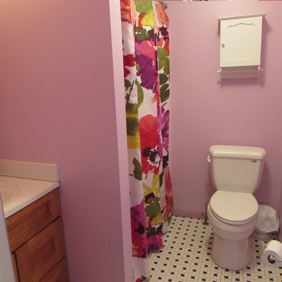 12310 South Morrice Road Morrice, MI 48857 - Photo 36 of 45 31341960-38.JPG