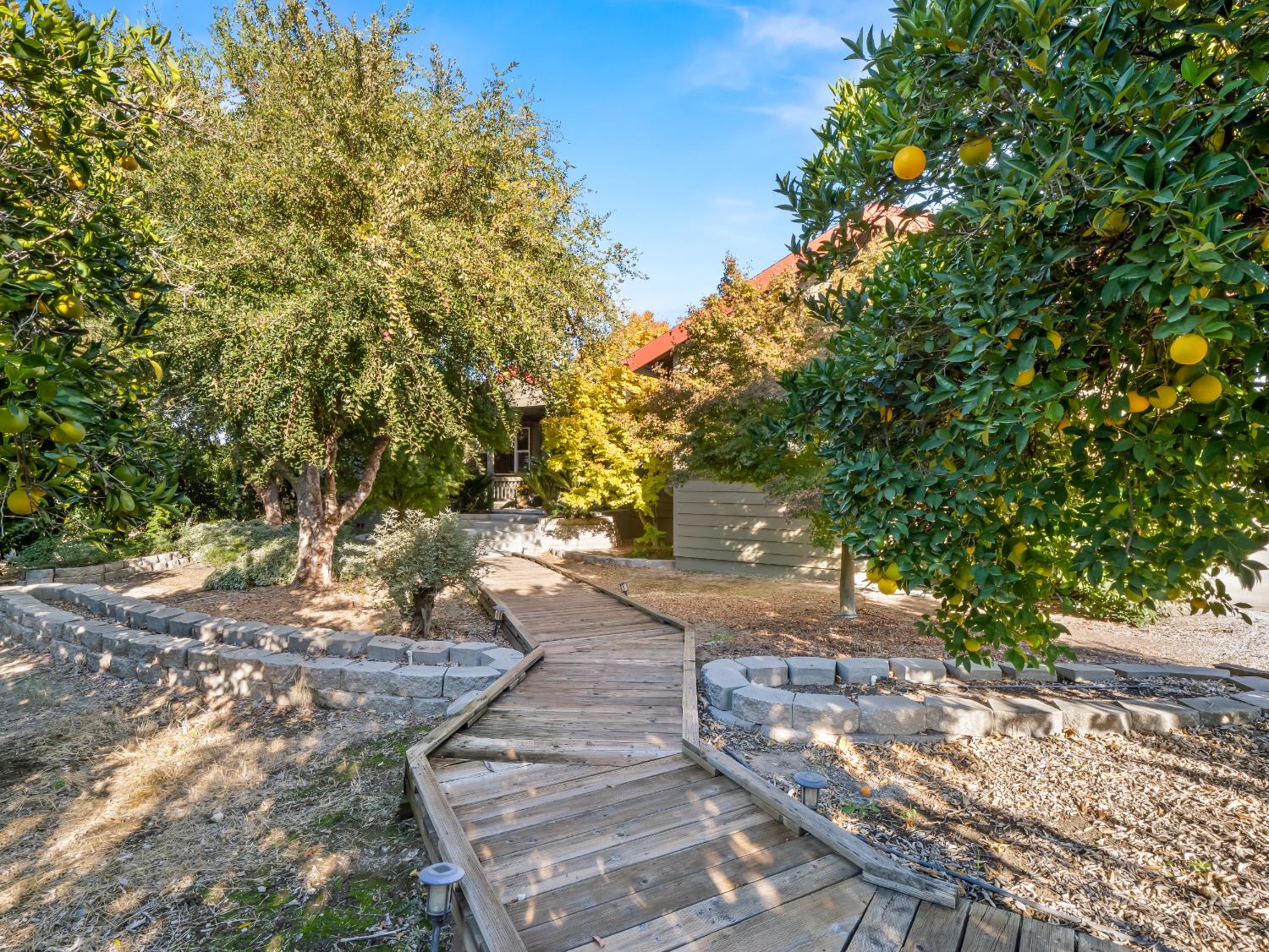 16787 Paula Road Madera, CA 93636 - Photo 18 of 52