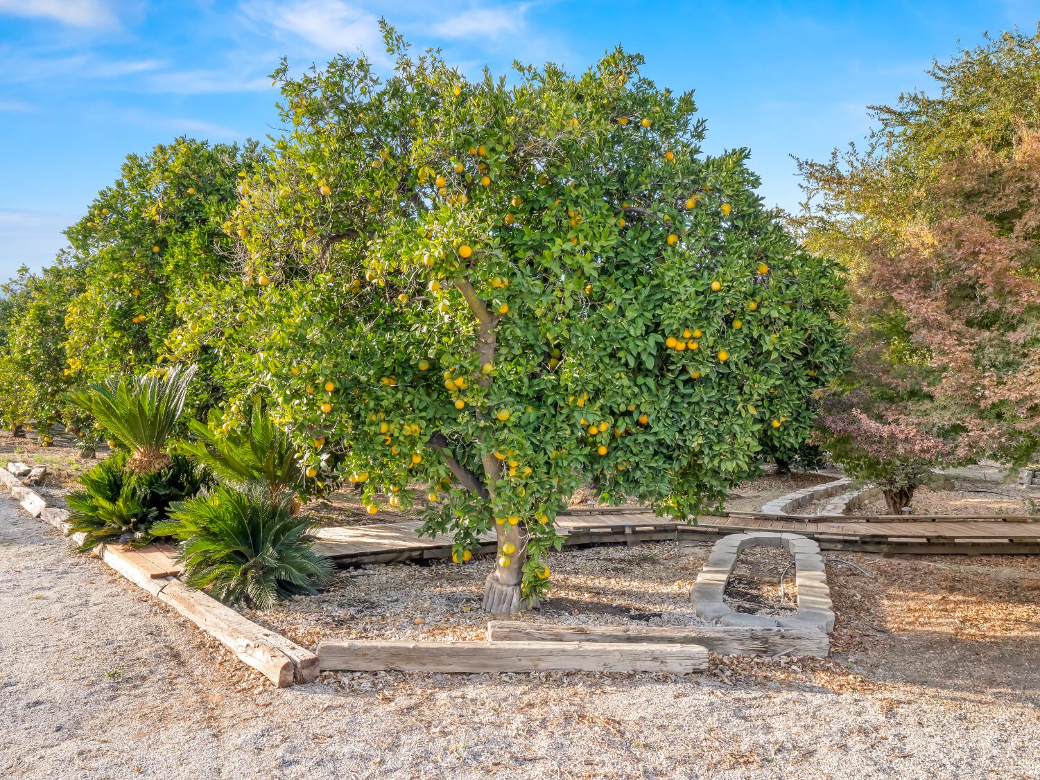 16787 Paula Road Madera, CA 93636 - Photo 24 of 52
