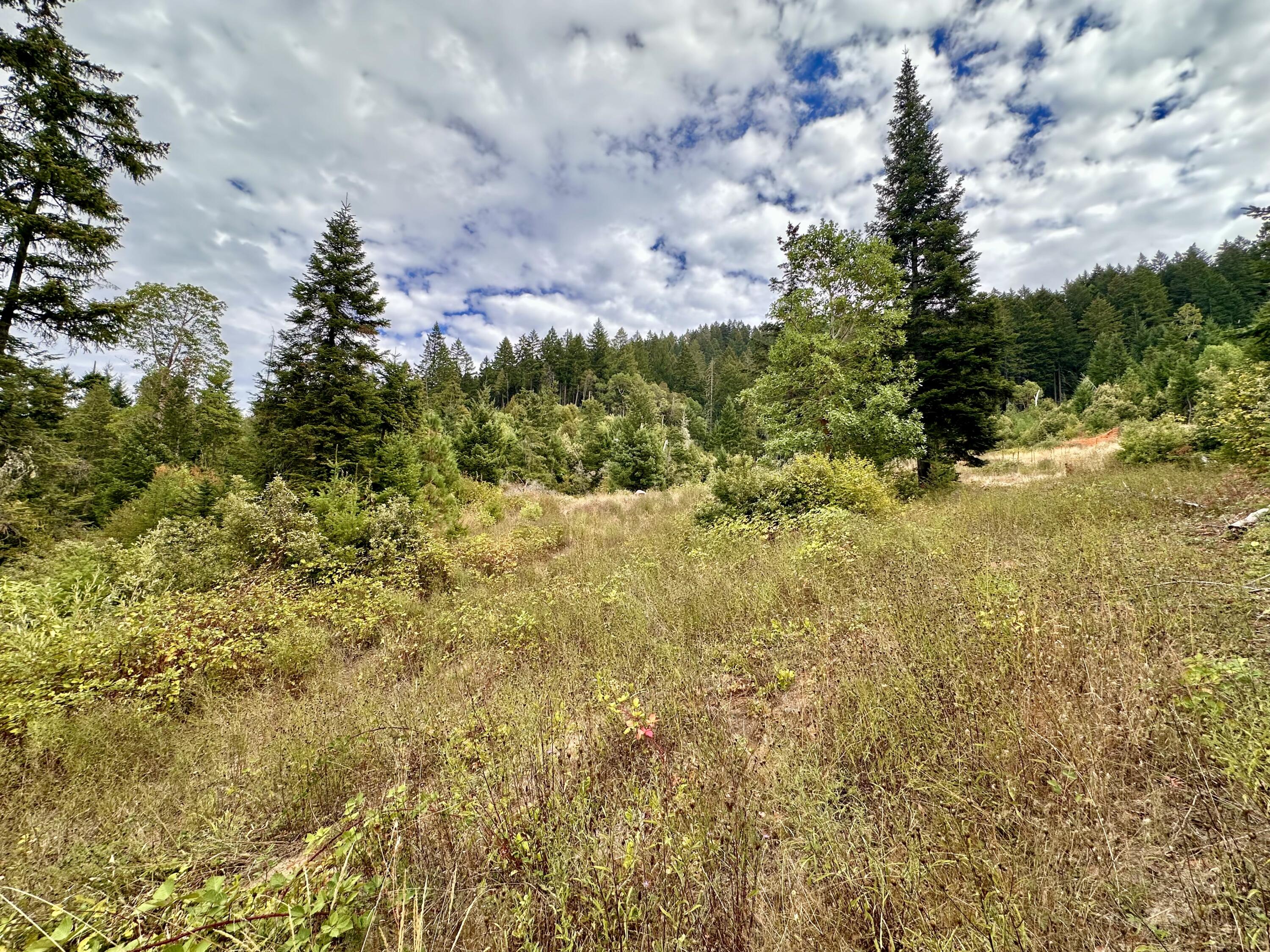 780 Tunnel Road Glendale, OR 97442 - Photo 14 of 25 FCFA3FC7-C4EA-4F94-A3E0-4ED12B9BEE1F_1_2