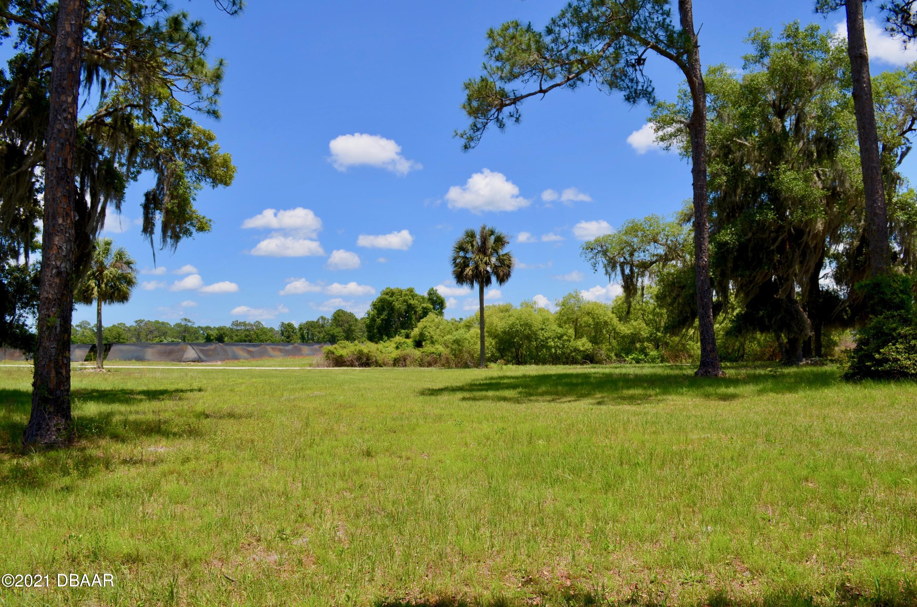 2122 Brownlee Road Seville, FL 32190 - Photo 3 of 20 DSC_2235